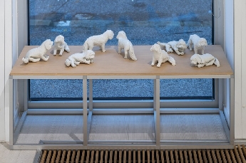 Decembrové stopy 10 :  Biela