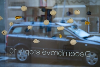 Decembrové stopy 10 :  Biela