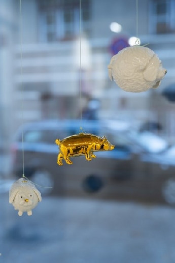 Decembrové stopy 10 :  Biela