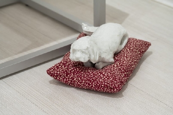 Decembrové stopy 10 :  Biela