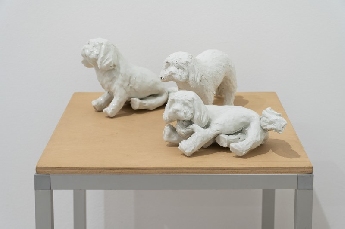 Decembrové stopy 10 :  Biela