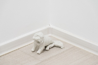 Decembrové stopy 10 :  Biela