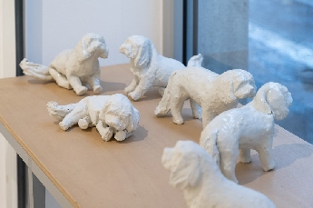 Decembrové stopy 10 :  Biela