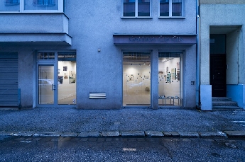 Decembrové stopy 10 :  Biela