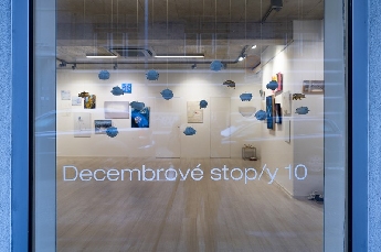 Decembrové stopy 10 :  Biela